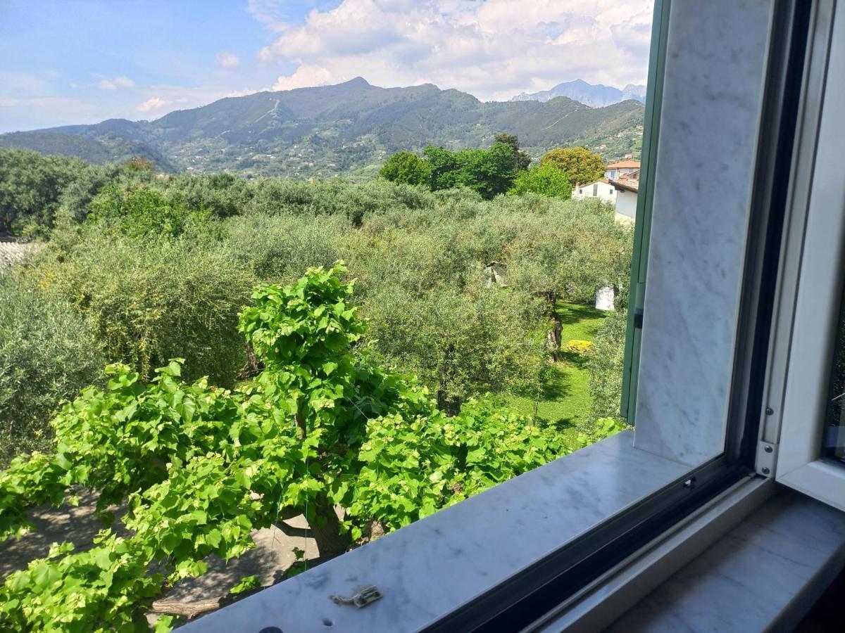 奎瑟塔La Madonnina住宿加早餐旅馆 外观 照片